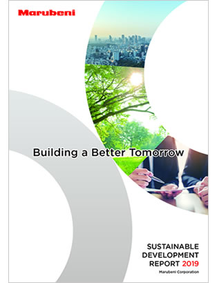 Sustainable Development Report 2019