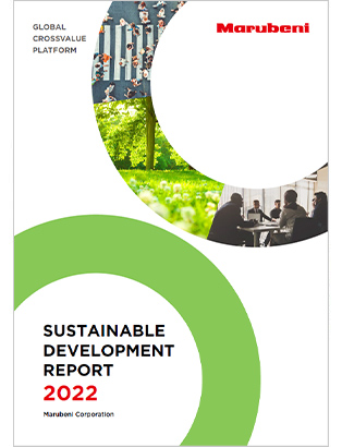 Sustainable Development Report 2019