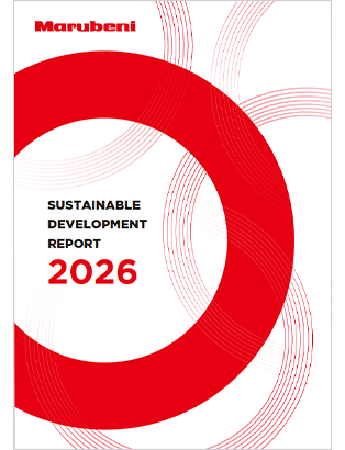Sustainable Development Report 2026