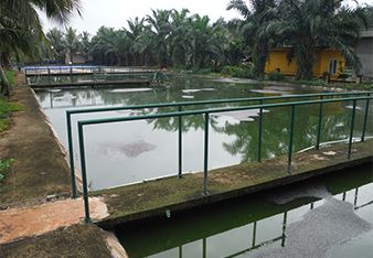 Wastewater treatment pool