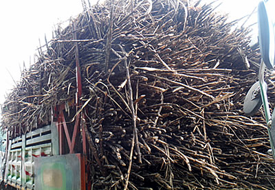 Raw material loaded on a truck
