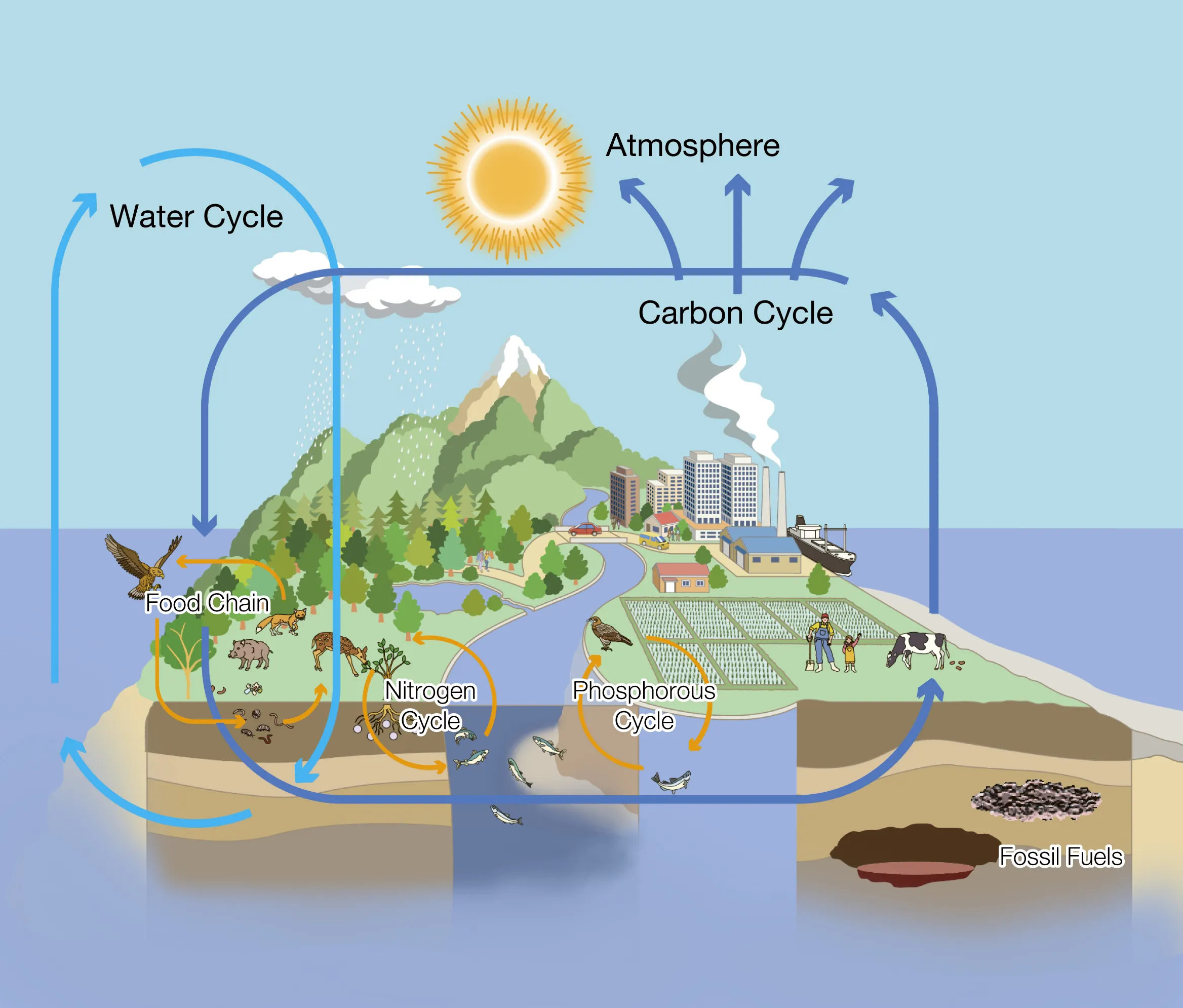 Conceptual Diagram of Nature