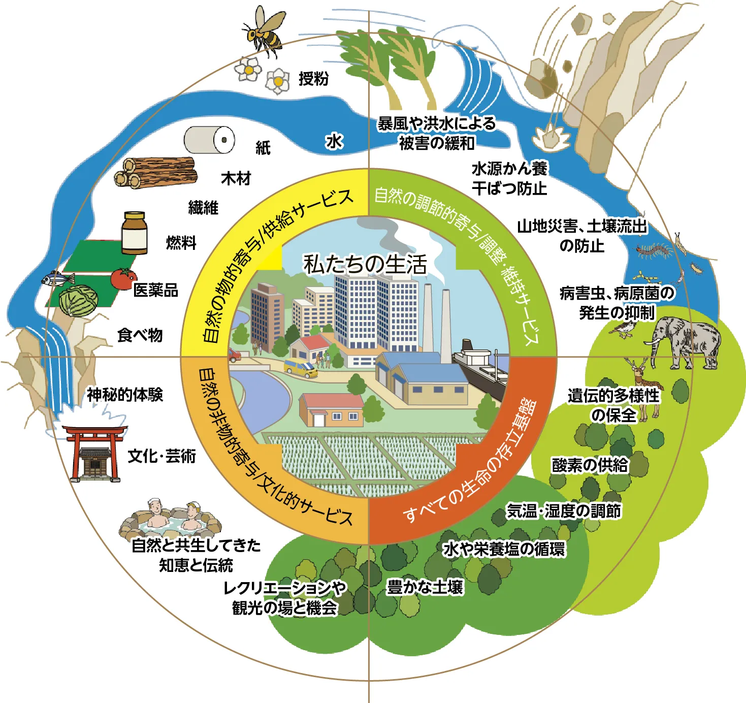 図