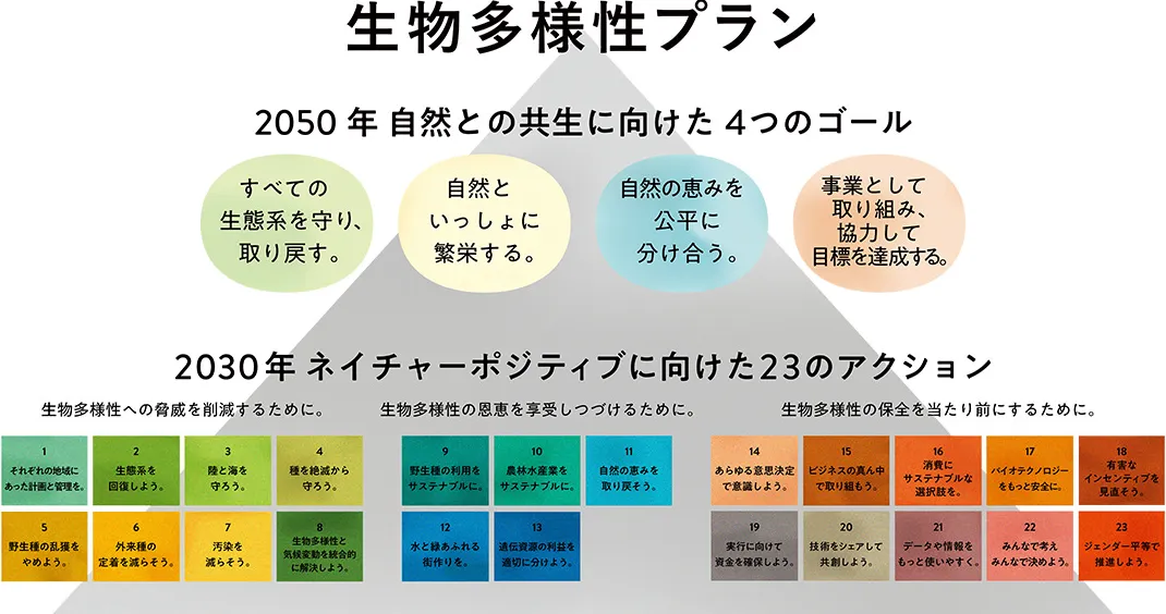 図
