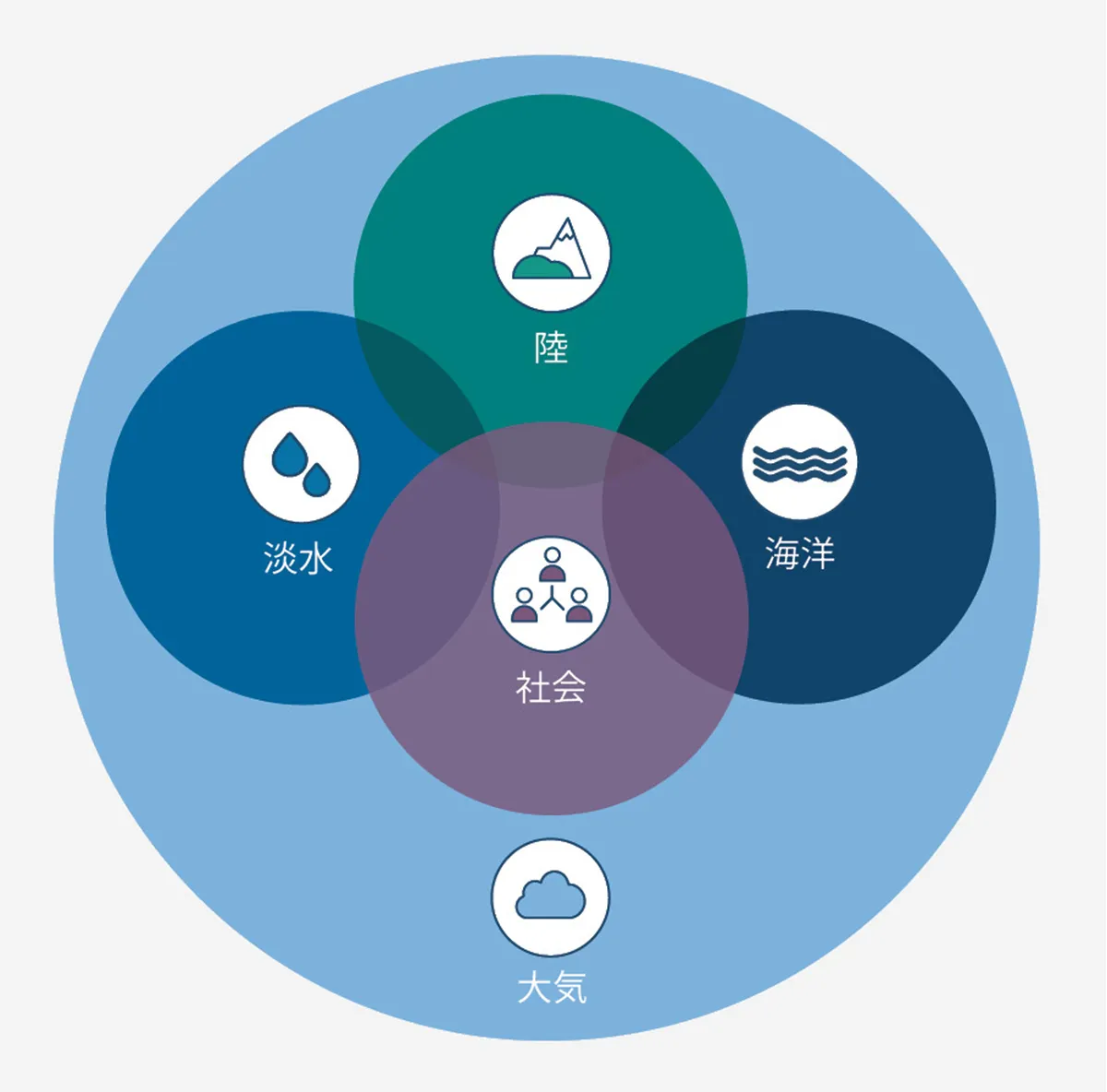図