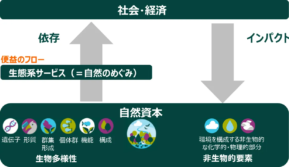 図